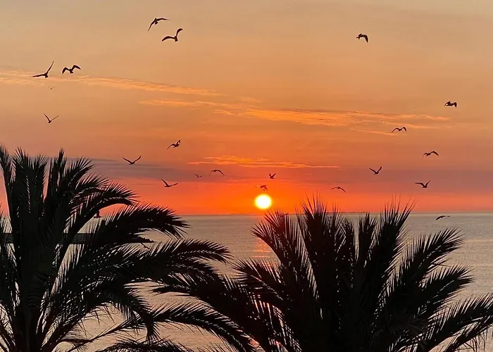 Apartamento Frente Al Mar En El Campello